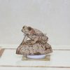 The Watchful Frog - SVG, DXF, AI, LBRN2 - (Digital Item) - Image 4
