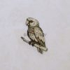 Parrot - SVG, DXF, AI, LBRN2 - (Digital Laser File)