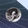 Octopus 3D illusion Laser File - SVG, WWS, XCS, LBRN2