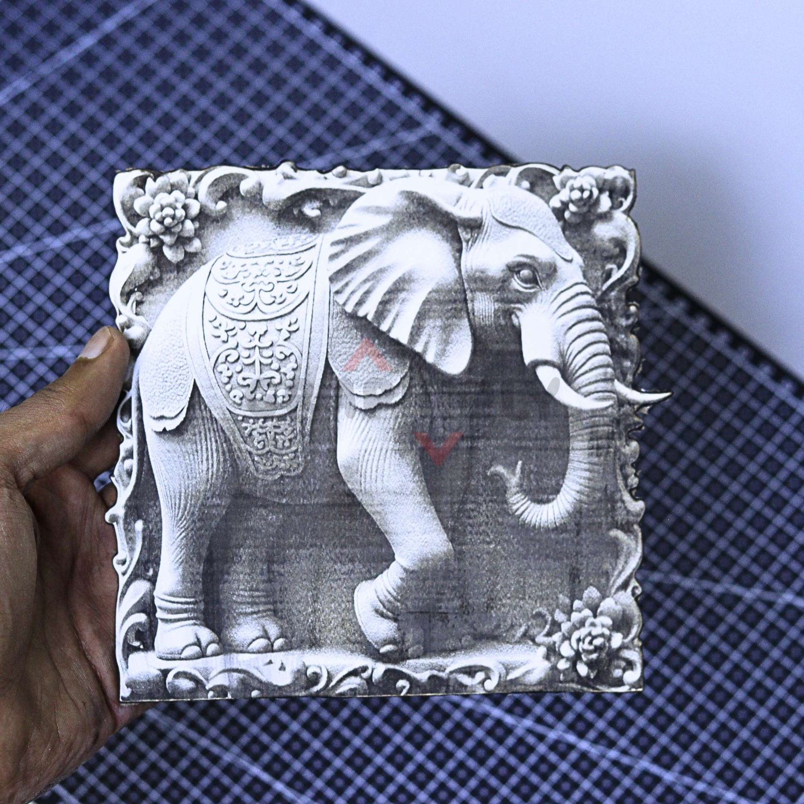 Elephant 3D illusion