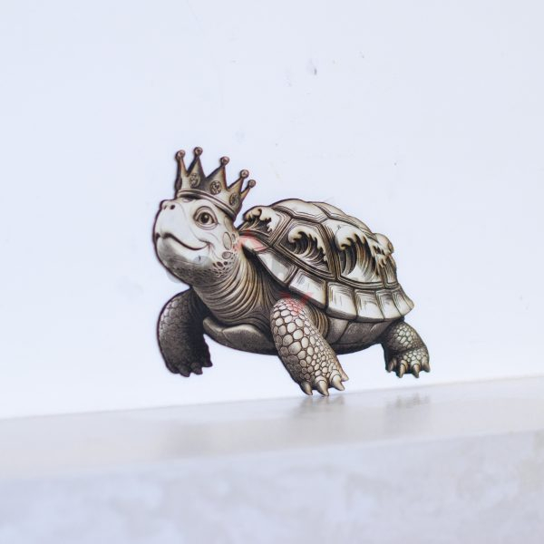 13 Sea Turtle 3D illusion Laser File - SVG, WWS, XCS, LBRN2