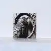 21 Parrot 3D illusion Laser File - SVG, WWS, XCS, LBRN2