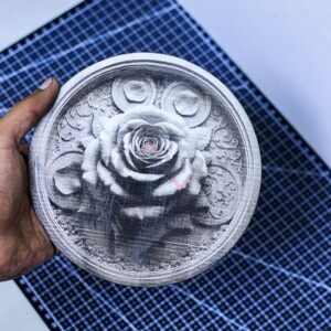 Blooming Rose 3D illusion