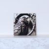 6 Parrot 3D illusion Laser File - SVG, WWS, XCS, LBRN2
