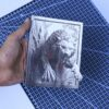 Wild Cat 3d illusion Wild Cat 3d illusion