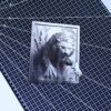 29 Wild Cat 3d illusion Laser File - SVG, WWS, XCS, LBRN2
