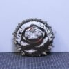 Blooming Peony 3D Illusion Laser File - SVG, WWS, XCS, LBRN2