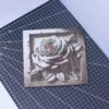 Rose 3D illusion Laser File - SVG, WWS, XCS, LBRN2