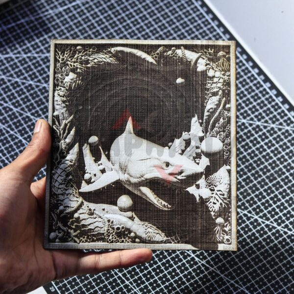 Great White Shark Tunnel 3D Illusion Great White Shark Tunnel 3D Illusion
