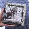 Rose from the Book 3D Illusion