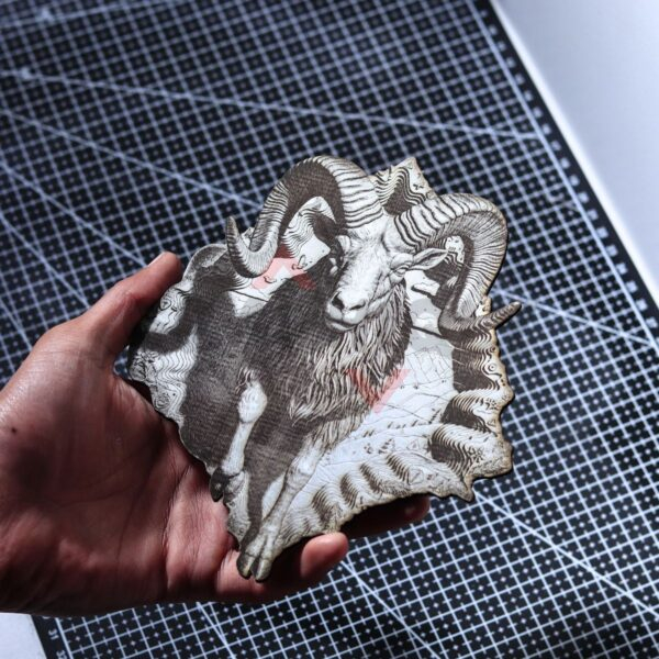 Mountain Ram 3D Illusion