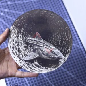Shark in Vortex 3D Illusion