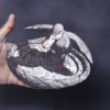 Splashwing Duck 3D Illusion Splashwing Duck 3D Illusion