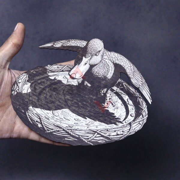 Splashwing Duck 3D Illusion Splashwing Duck 3D Illusion