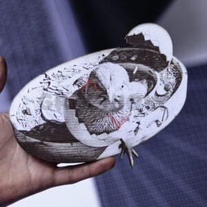 Newborn Chick 3D Illusion