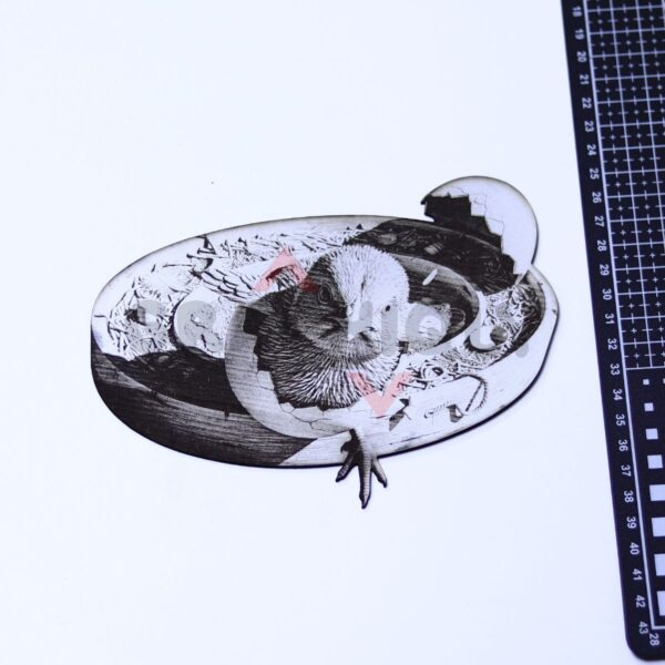 Newborn Chick 3D Illusion Laser File - SVG, WWS, XCS, LBRN2