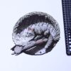 Fox Forest Portal 3D Illusion Laser File - SVG, WWS, XCS, LBRN2