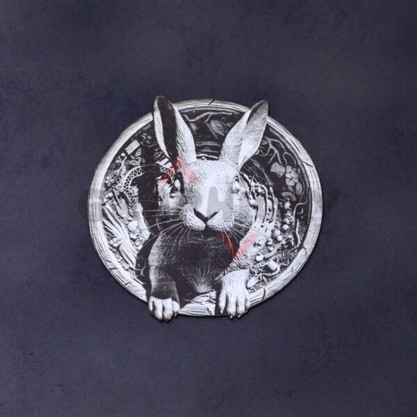 Cute Rabbit Portrait 3D Illusion Laser File - SVG, WWS, XCS, LBRN2