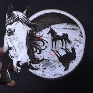 Two Horses, One Horizon 3D Illusion