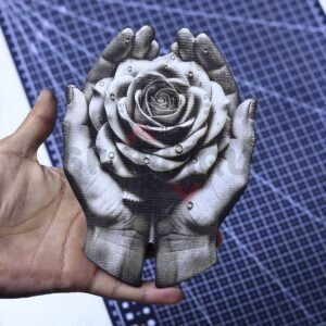Rose Offering 3D Illusion