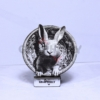 Cute Rabbit Portrait 3D Illusion