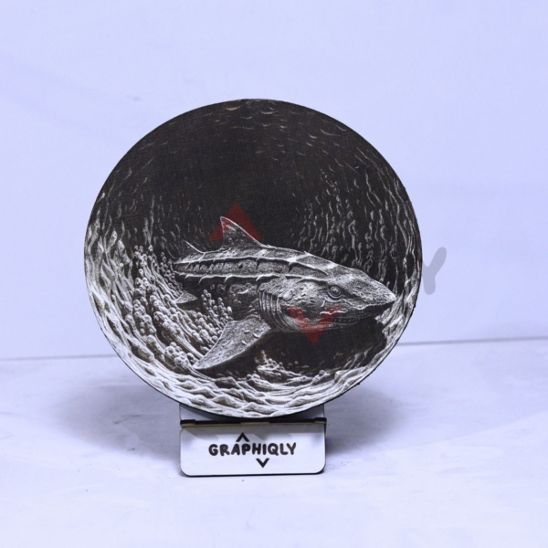 Shark in Vortex 3D Illusion
