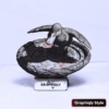 Splashwing Duck 3D Illusion Splashwing Duck 3D Illusion